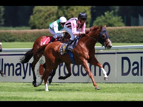 München: Dallmayr Ethiopia Rennen (D) - Sieger: Royal Fox