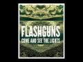 Flashguns - Come and See the Lights 