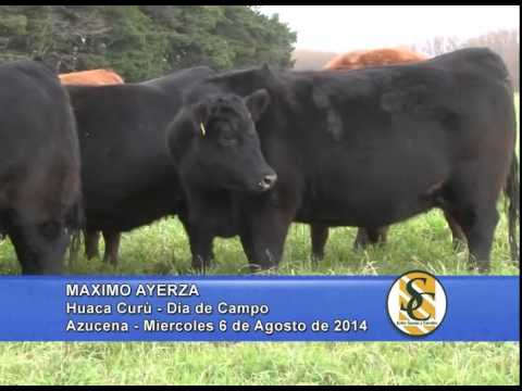 Día de Campo - Huaca Curú - Máximo Ayerza - Azucena - 06/08/2014