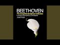 Symphony No. 3 in E-Flat Major, Op. 55, "Eroica": I. Allegro con brio