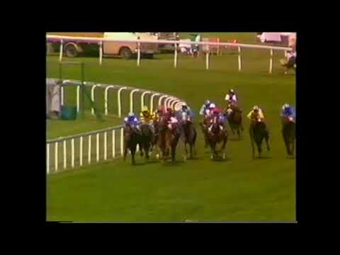 1988 Queens Vase Stakes Royal Ascot