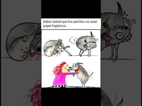 ay santo, para lo Besa Perros😮