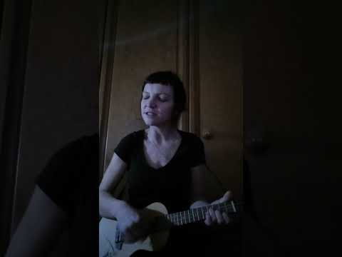 Vzpomínky /Karel Plíhal/ - cover pokus