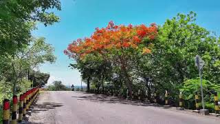 Download lagu Natal Kupang memanggil mp3