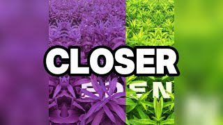 Download lagu STIM - closer mp3