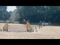 hongre de 9 ans baie 1m68
