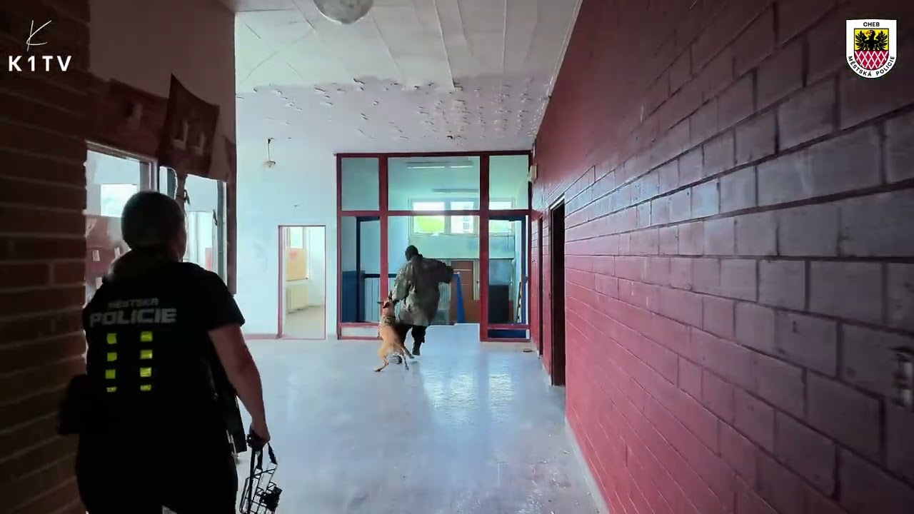 Městská policie Cheb má novou BAZUKU 🐕‍🦺🐕‍🦺