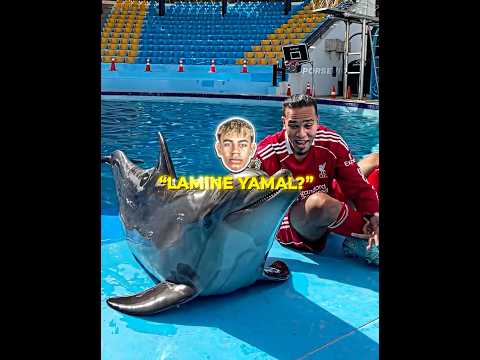 Smartest Ronaldo Fan Ever 🐬🤯