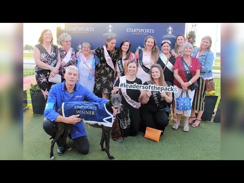 Hazelwood Terry Wins Star Sports 2018 Champion Hurdle Heat One on 26th May 2018 (Official Video)