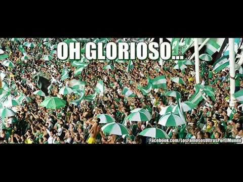 "Oh Glorioso" Barra: Frente Radical Verdiblanco &bull; Club: Deportivo Cali
