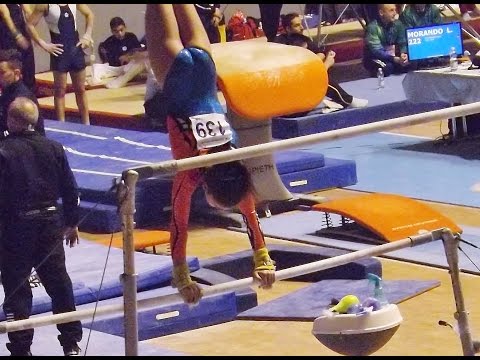 GINNASTICA ARTISTICA SERIE A2 2017 TORINO