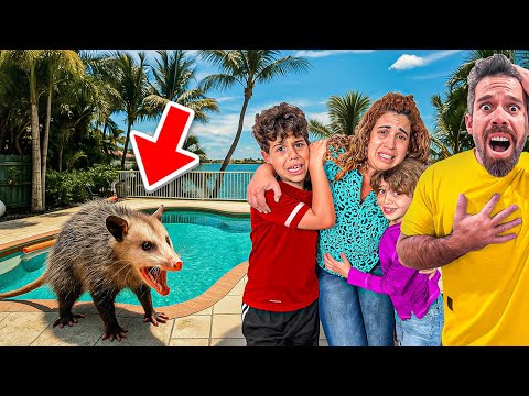 ENCONTRAMOS un ANIMAL RARO en el PATIO de la CASA NUEVA|4PLUSONE