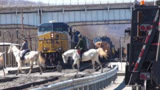 Who says trains and horses can&#39;t get along?