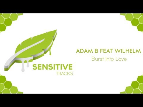 Adam B feat Wilhelm - Burst Into Love