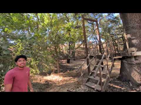 Hillcrest farms pumpkin patch 2024 the rope bridge