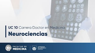 Biofísica de la Visión (Parte 2)