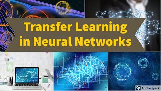 Transfer Learning in Neural Networks - Pytorch
