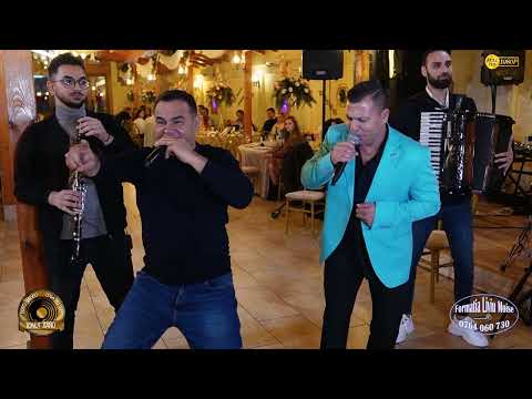 Formatia Liviu Moise - Viata , viata trecatoare ascultare Cover Live 2024