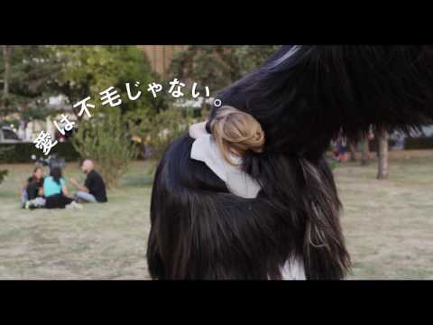 【予告編】映画『ありがとう、トニ・エルドマン』