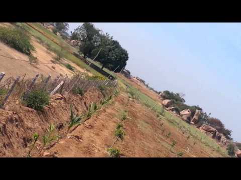 Aarathiye dharegilidanthe-nammaholla