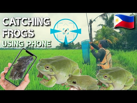 Pamimingwit ng palaka part 7 | ang dami naming nahuli | with shout out