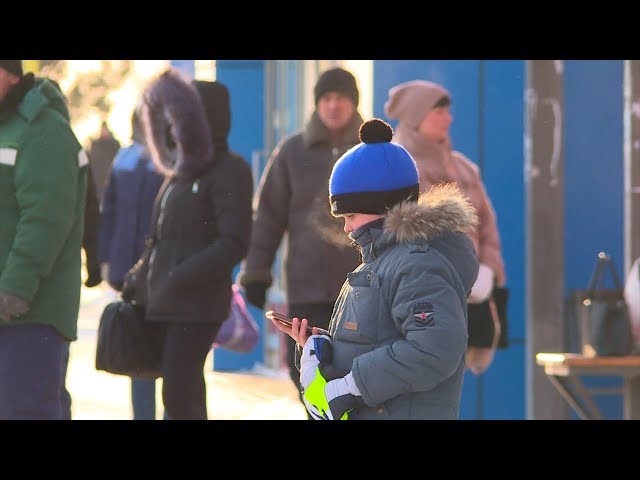 Выходной из-за морозов