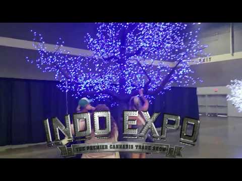 Indo Expo Portland Interviews (2019)
