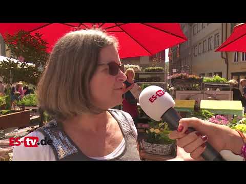 Entenrennen und  Gartentage in Esslingen