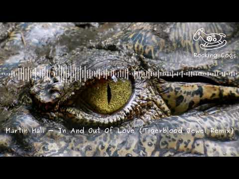 Martin Hall - In And Out Of Love (Tigerblood Jewel Remix) [Rocking Cogs]