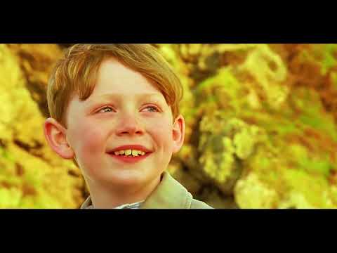 Simple companionship heals a child's life and touches countless people!！- A Shine of Rainbows