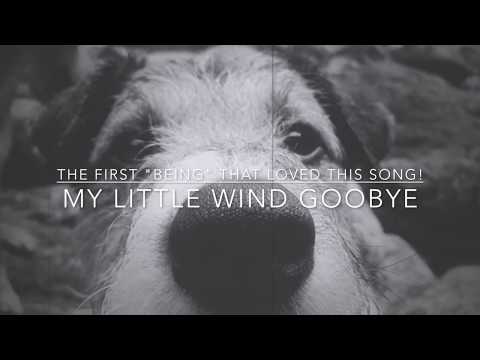 andre ViaMonte - N(ever) Being