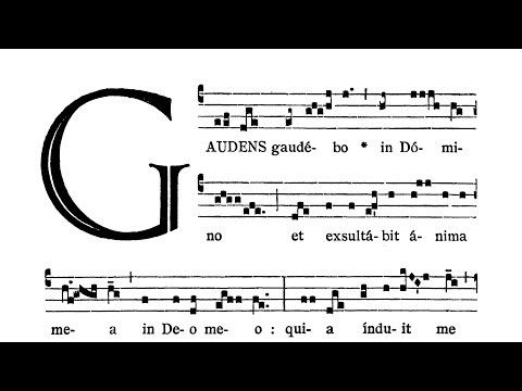 Immaculate Conception of the Blessed Virgin Mary - Introitus (Gaudens gaudebo)