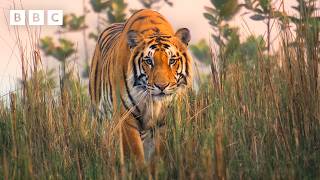 Download lagu Asia | First Look ft SEVENTEEN - BBC mp3 Download lagu Asia | First Look ft SEVENTEEN - BBC mp3