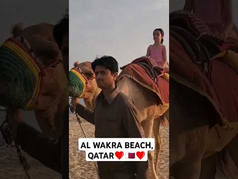 Al Wakra beach Qatar #shorts #subscribe #youtubeshorts #reels #beach #shortvideo #youtube #trending