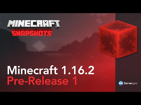 Minecraft 1.16.2 Pre-Release 1 - Server.pro
