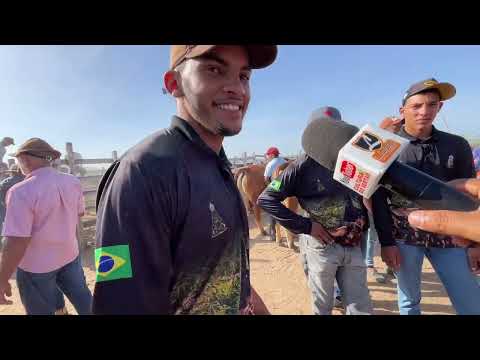 Feira de Gado em Senador Rui palmeira - AL 02 - 12 - 2025 #nordeste 