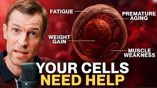 This ONE Thing Controls Your Energy, Healing, and Health