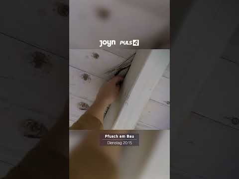 Schwammerlsuche mal anders 😁 "Pfusch am Bau" 👷🏻‍♂️