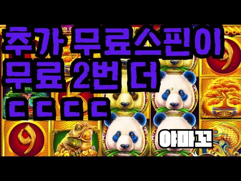 [슬롯][제보영상][닉네임:아마꼬]판다 521배
