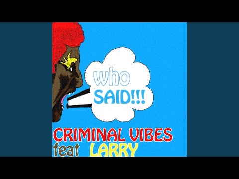 Who Said (Original Criminal Mix)
