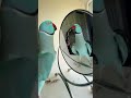 You Be A Good Baby Parrot Thebluechicken Talkingparrot Indianringneck Funnyanimals Cutepets