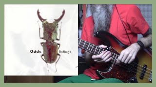 Odds - It Falls Apart (bass cover)