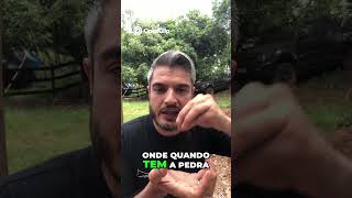 Cabelo de Milho  Remédio Natural Para Pedras e Bexiga Canina