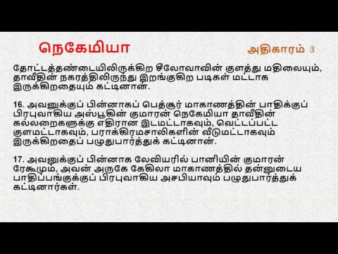 Nehemiah Chapter 3 | Tamil Audio Bible