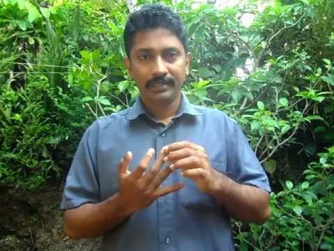 Meditation -Enlightenment