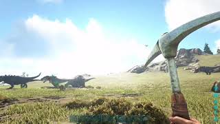 REX FIGHTS!
