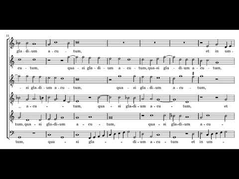 Willaert: Audite insulae - Singer Pur