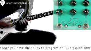 Video thumbnail for JHS Pedals Panther Cub Delay by Prymaxe