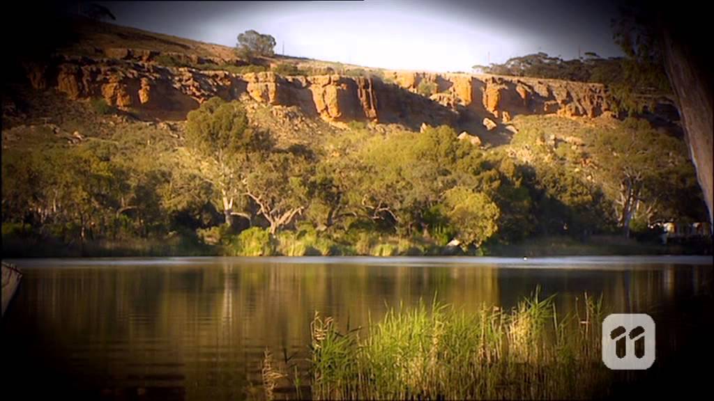 Scope: Dino Dig Special