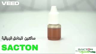 ساكتون كسر